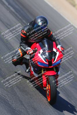 media/Nov-11-2023-SoCal Trackdays (Sat) [[efd63766ff]]/Turn 12 Inside (940am)/